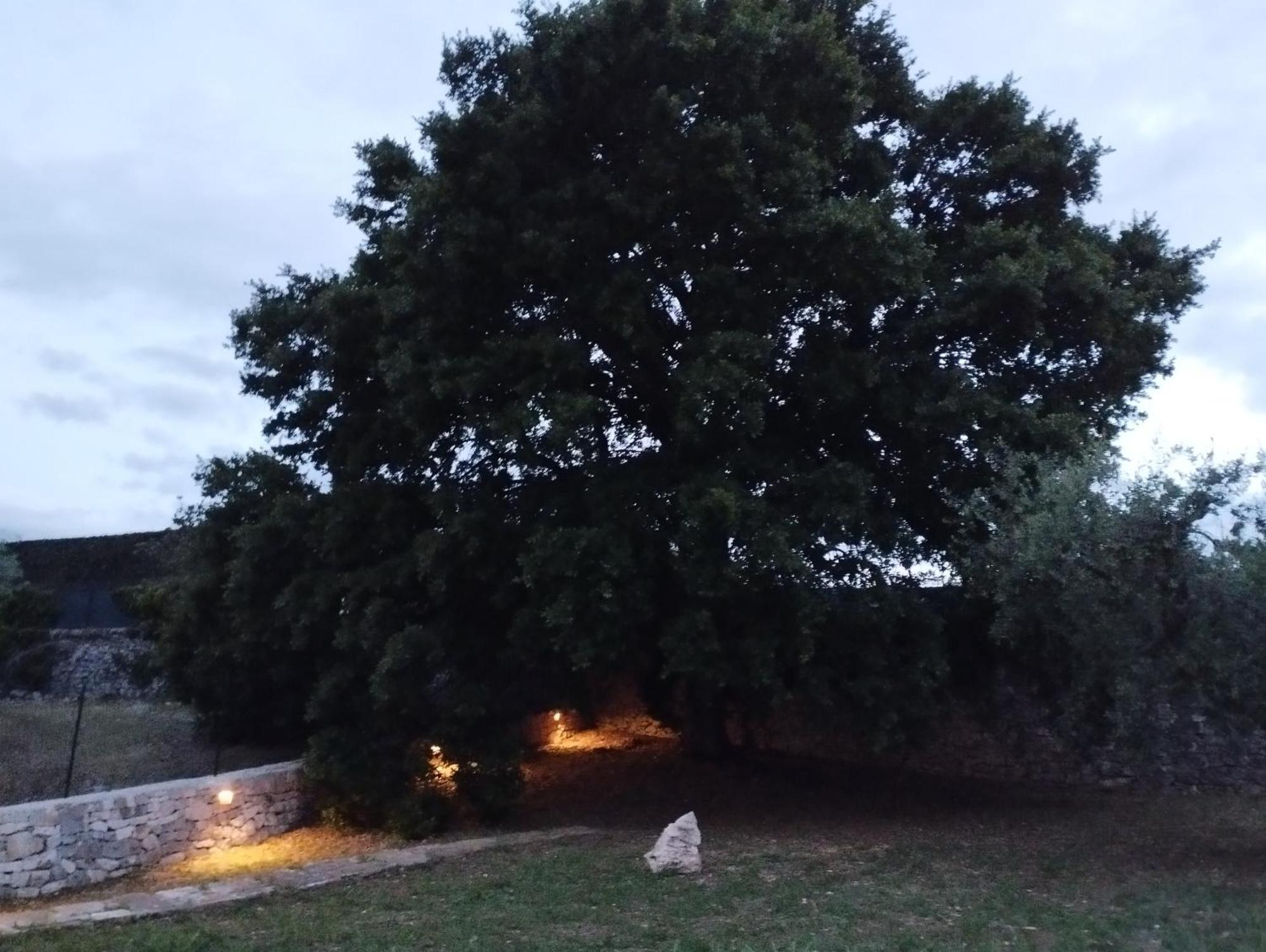 Trulli La Quercia Del Nonno Villa Locorotondo Exterior foto